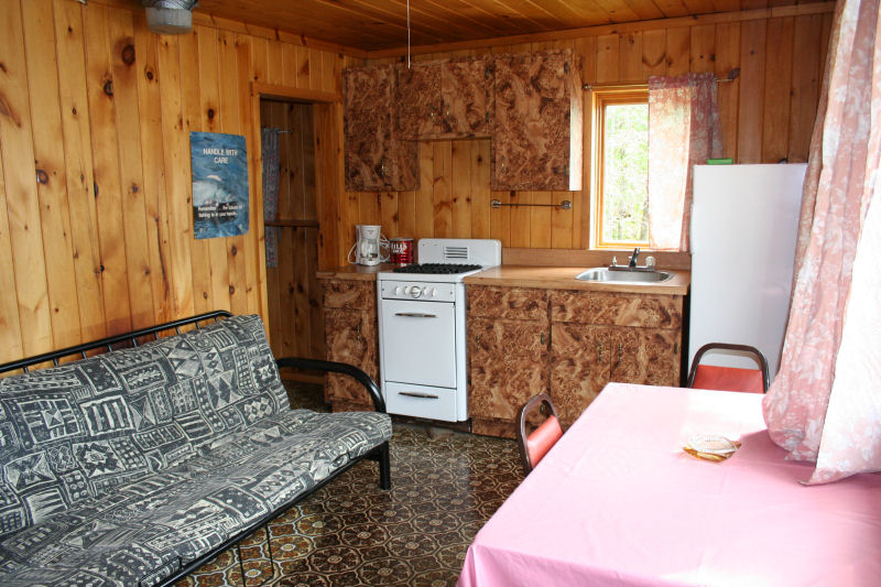 Cabin 4 living area