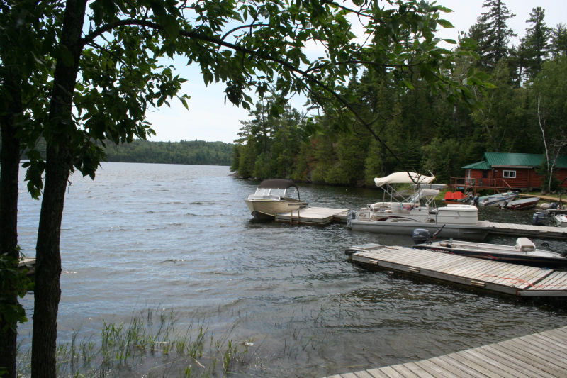 Cabin 4 lake view